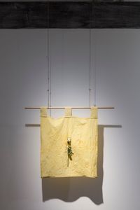 Flower / turmeric / fabric 2 by Daniel Lie contemporary artwork sculpture