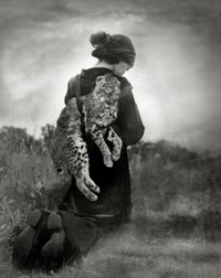 Journey of the Bobcat by Beth Moon contemporary artwork photography