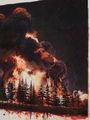 Wildfire (First the Blood, then the Fire) by David Claerbout contemporary artwork 3