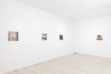 Exhibition view: David Ralph, Ferment, Gallery 9, Sydney (17 May–10 June 2023). Courtesy Gallery 9. 