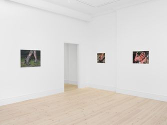 Exhibition view: Brittany Shepherd, Deliverance, MAMOTH, London (24 September–29 October 2022). CourtesyMAMOTH.