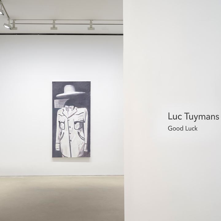 Luc Tuymans 新版 改訂・拡張版　画集　美品 Luc Tuymans (Phaidon Contemporary Artist Series): Loock, Ulrich
