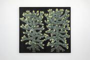 portrait of two monkey puzzle trees (with spring growth) by Andrew Sim contemporary artwork 2