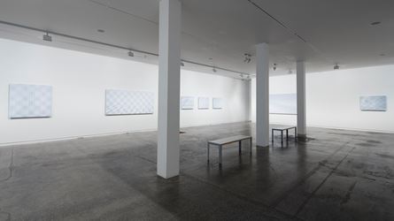 Elizabeth Thomson, Subliminal, 2016, Exhibition view, Two Rooms, Auckland. Courtesy Two Rooms, Auckland.