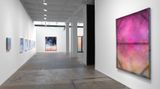 Contemporary art exhibition, Chris Watts, Integration at Galerie Lelong & Co. New York, United States