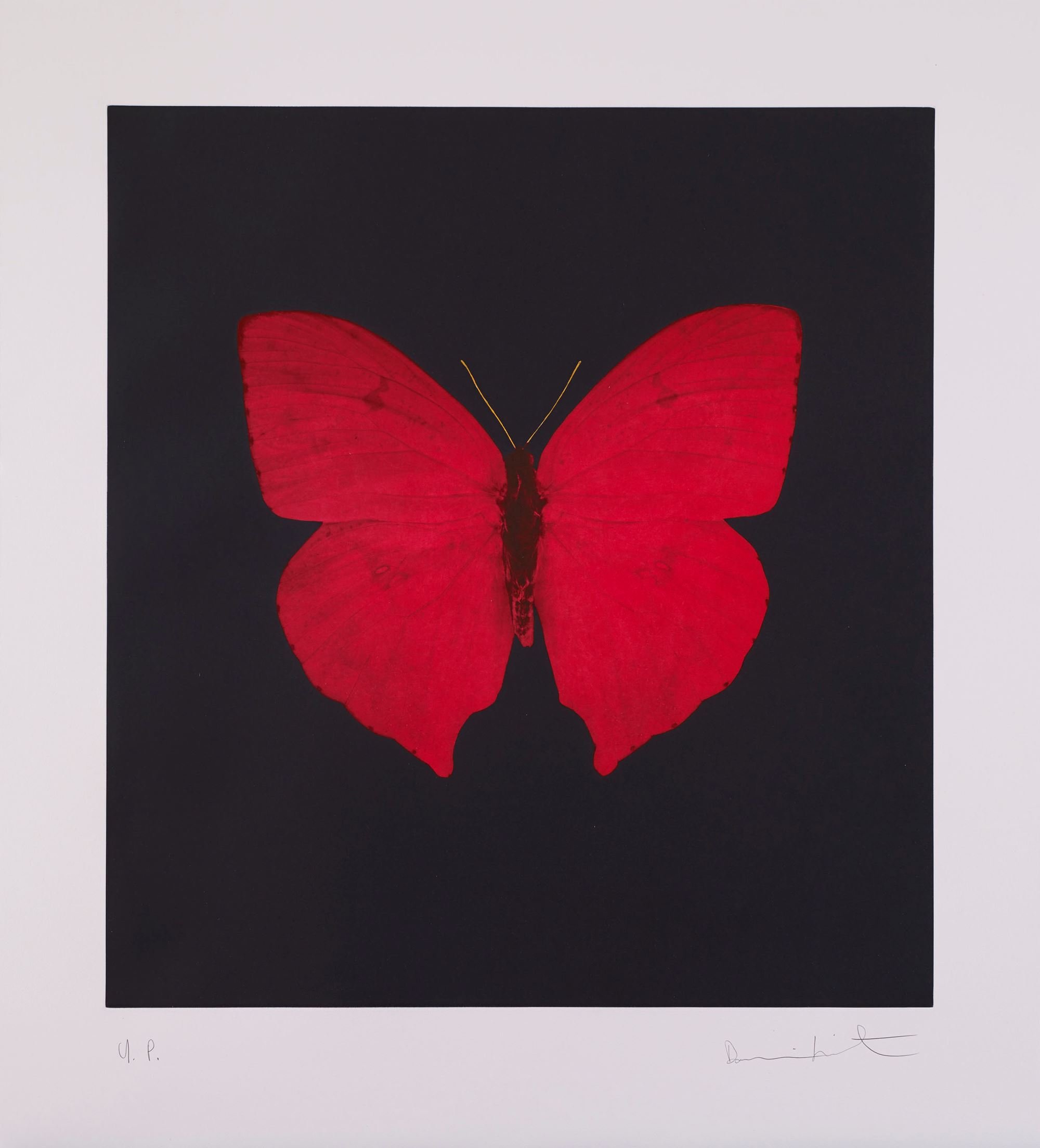 Damien Hirst | Artist Profile, Exhibitions & Artworks | Ocula