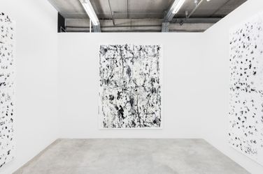 Exhibition view: Chris Succo, Televised Mind, Almine Rech, Brussels (8 March–8 April 2023). Courtesy Almine Rech. 