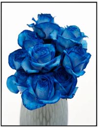 Blue Flowers by David Bailey contemporary artwork photography, print