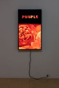 Colorvision Purple by Diana Thater contemporary artwork moving image