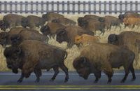 Bison Migration by Zhang Hongtu contemporary artwork painting