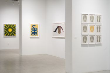 Exhibition view: Olivia Fraser, A Journey Within, Sundaram Tagore Gallery, New York (16 November–16 December 2023). Courtesy Sundaram Tagore.