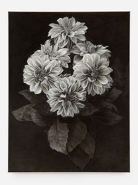 Dahlia by Don Brown contemporary artwork painting, works on paper