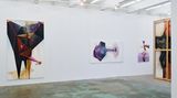 Contemporary art exhibition, Piotr Janas, Solo Exhibition at Thomas Erben Gallery, New York, USA