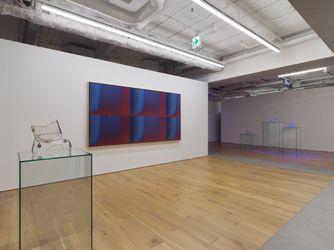 Exhibition view: Mika Tajima, Spectral, Taro Nasu, Tokyo (21 May–18 June 2022). Courtesy Taro Nasu. Photo: Yasushi Ichikawa