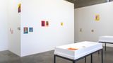 Contemporary art exhibition, Brenda Nightingale, Nathan Pohio, Francis Upritchard, 20/20 Rocks at Jonathan Smart Gallery, Christchurch, New Zealand