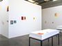 Contemporary art exhibition, Brenda Nightingale, Nathan Pohio, Francis Upritchard, 20/20 Rocks at Jonathan Smart Gallery, Christchurch, New Zealand