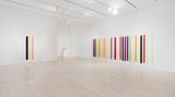 Contemporary art exhibition, Peter Alexander, Peter Alexander at Pace Gallery, 540 West 25th Street, New York, USA