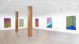 Contemporary art exhibition, Daniel Rich, Flat Earth at Miles McEnery Gallery, 525 West 22nd Street, New York, USA