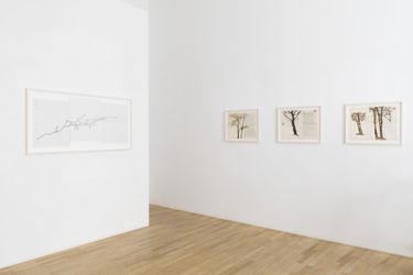 Exhibition View: Johanna Calle, INDENTURES, Galerie Krinzinger, Vienna (25 March–30 April 2024). Courtesy Galerie Krinzinger.