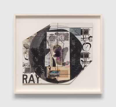 Ray Johnson Artworks | Ocula Artist