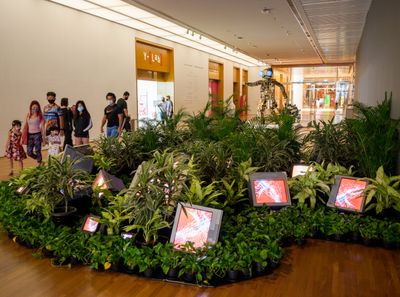 Nam June Paik Mega Exhibition Arrives at National Gallery Singapore