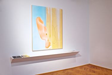 Exhibition view: Susanne Kühn, PALETTE, Beck & Eggeling International Fine Art, Vienna (16 May–2 July 2019). Courtesy Beck & Eggeling International Fine Art. Photo: © Ela Angerer. 