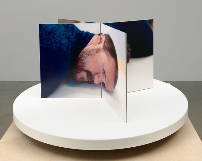 Film-Object (Artist's Head) by Lucas Blalock contemporary artwork