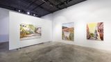 Contemporary art exhibition, Kevin Chin, Within Region at THIS IS NO FANTASY, Melbourne, Australia