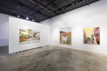Contemporary art exhibition, Kevin Chin, Within Region at THIS IS NO FANTASY, Melbourne, Australia