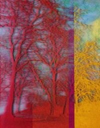 Portrait of a Tree in Crimson and Yellow by Paul Rusconi contemporary artwork painting