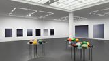 Contemporary art exhibition, Matti Braun, Ku Lak at Esther Schipper, Esther Schipper Berlin, Germany