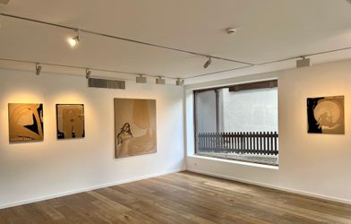 Exhibition view: Anouk Lamm Anouk, Lesbian Jazz: Meditating in the Alps, Patricia Low Contemporary, Gstaad (20 August–14 October 2022). Courtesy Patricia Low Contemporary, Gstaad. 