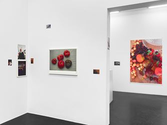 Exhibition view: Wolfgang Tillmans, Fest, Galerie Buchholz, Köln (2 February–7 April 2018). Courtesy Galerie Buchholz.