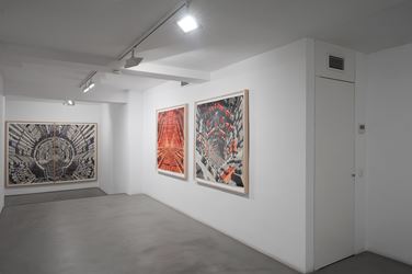 Exhibition view: Dagoberto Rodríguez, Visión de Túnel, Sabrina Amrani Gallery, Madera, 23, Madrid (11 June–27 July 2020). Courtesy Sabrina Amrani Gallery.