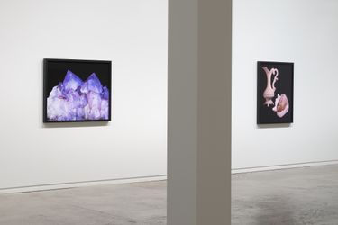 Exhibition view: Greta Anderson, The Transcenders, Two Rooms, Auckland (3 June–2 July 2022). Courtesy Two Rooms. Photo: Sam Hartnett.