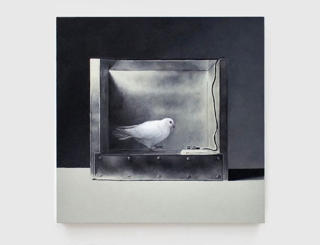 The Operant Conditioning Chamber #3 by Mat Collishaw contemporary artwork