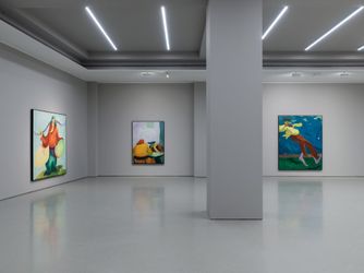 Exhibition view: Zhai Liang, What I Don't Understand is What I Understand, White Space, Shunyi (27 May–7 July 2023). Courtesy White Space.