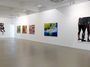 Contemporary art exhibition, Kim Joon and Hosook Kang, Through The Minds Eye at Sundaram Tagore Gallery, Singapore