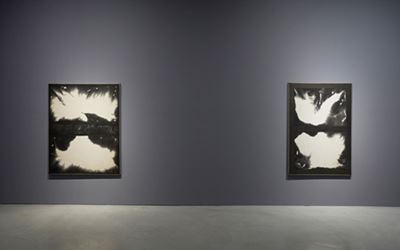 Exhibition view: Chung Chang-Sup, Kukje Gallery, Seoul (26 February–27 March 2016). Courtesy Kukje Gallery