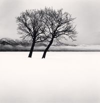 Dancing Trees, Kussharo Lake, Hokkaido, Japan by Michael Kenna contemporary artwork photography