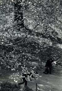Tree and Dog Walk, October 29 by André Kertész contemporary artwork photography