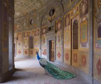 Heaven’s Vault, Villa Farnese, Caprarola by Karen Knorr contemporary artwork photography