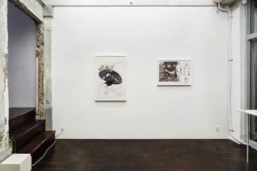 Exhibition view: Fahrettin Örenli, Nature of Me, P21 (28 February–31 March 2018). Courtesy P21.