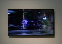 Run Dog Wild by James Clar contemporary artwork moving image