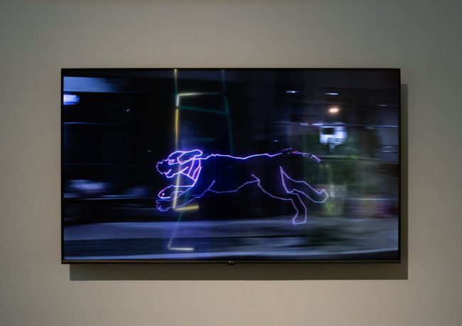 Run Dog Wild by James Clar contemporary artwork