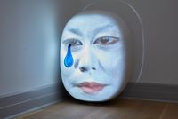 FuzzyU by Tony Oursler contemporary artwork painting, sculpture, moving image