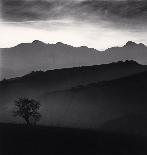 Tree and Gran Sasso Mountain, Castilenti, Abruzzo, Italy by Michael Kenna contemporary artwork