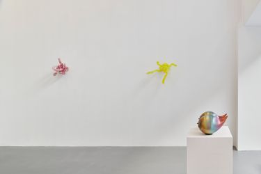 Exhibition view: Vanessa Safavi, I feed my dreams slime at night, Fabienne Levy, Lausanne (23 March–20 May 2023). Courtesy Fabienne Levy. Photo: © Guillaume Python.
