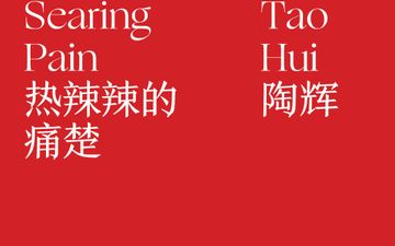 Tao Hui: Searing Pain