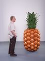 Pineapple by John Baldessari contemporary artwork 2
